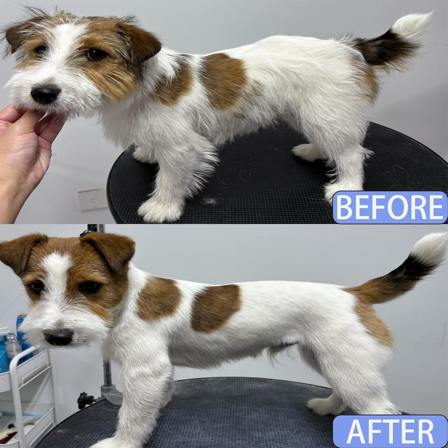 Cepillo Deshedding Magic Palm para Perros y Gatos - Mango Antideslizante