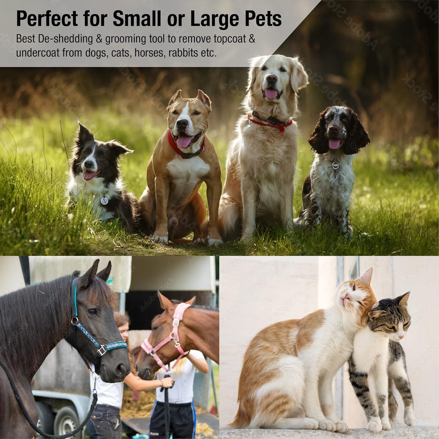 Cepillo de Aseo para Mascotas King Kanine Grande Autolimpiante