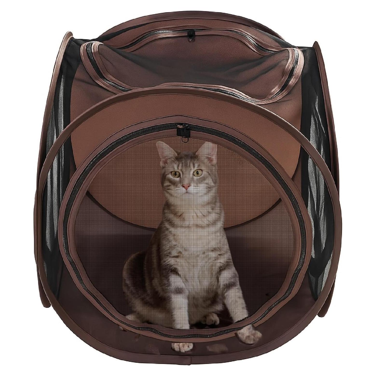 Cubo emergente para gatos Snarky Pets 61x56x51 cm con túnel