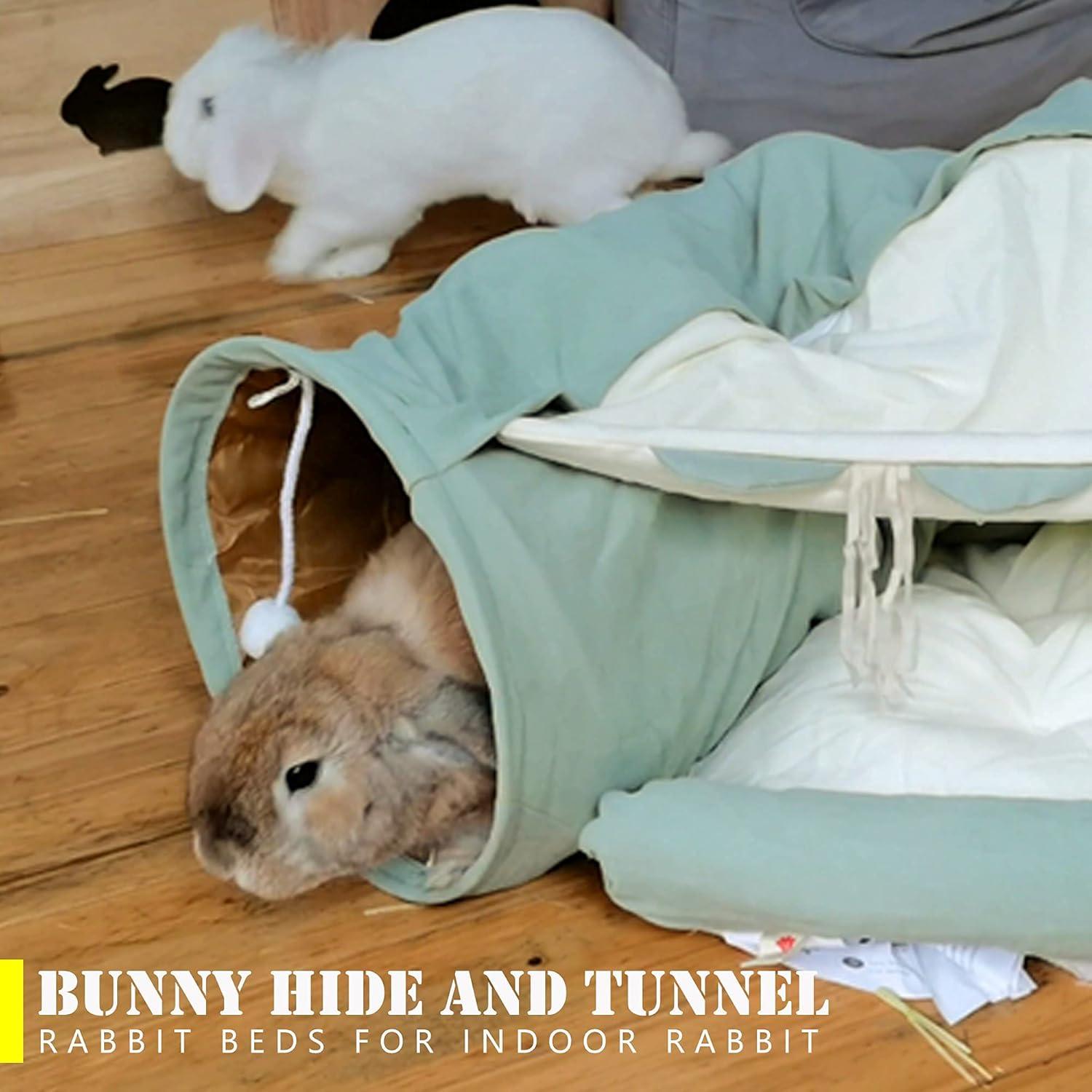 Cama y Túnel para Gatos KUCDBUN Matcha 2 en 1 con Alfombrilla