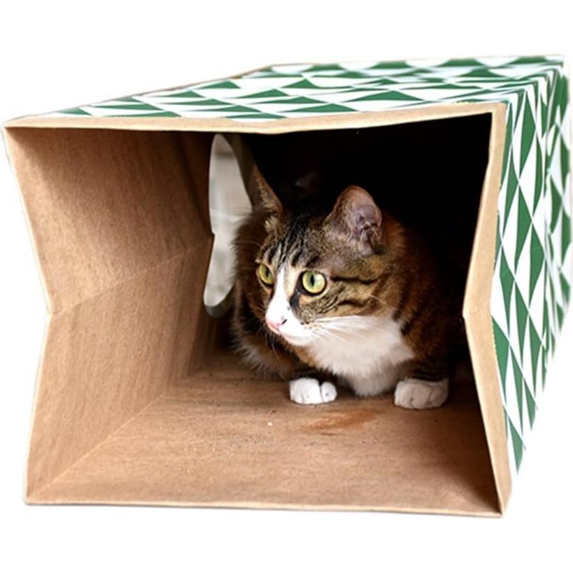 Túnel de papel para gatos JZMYXA - Casa colapsable 60 cm