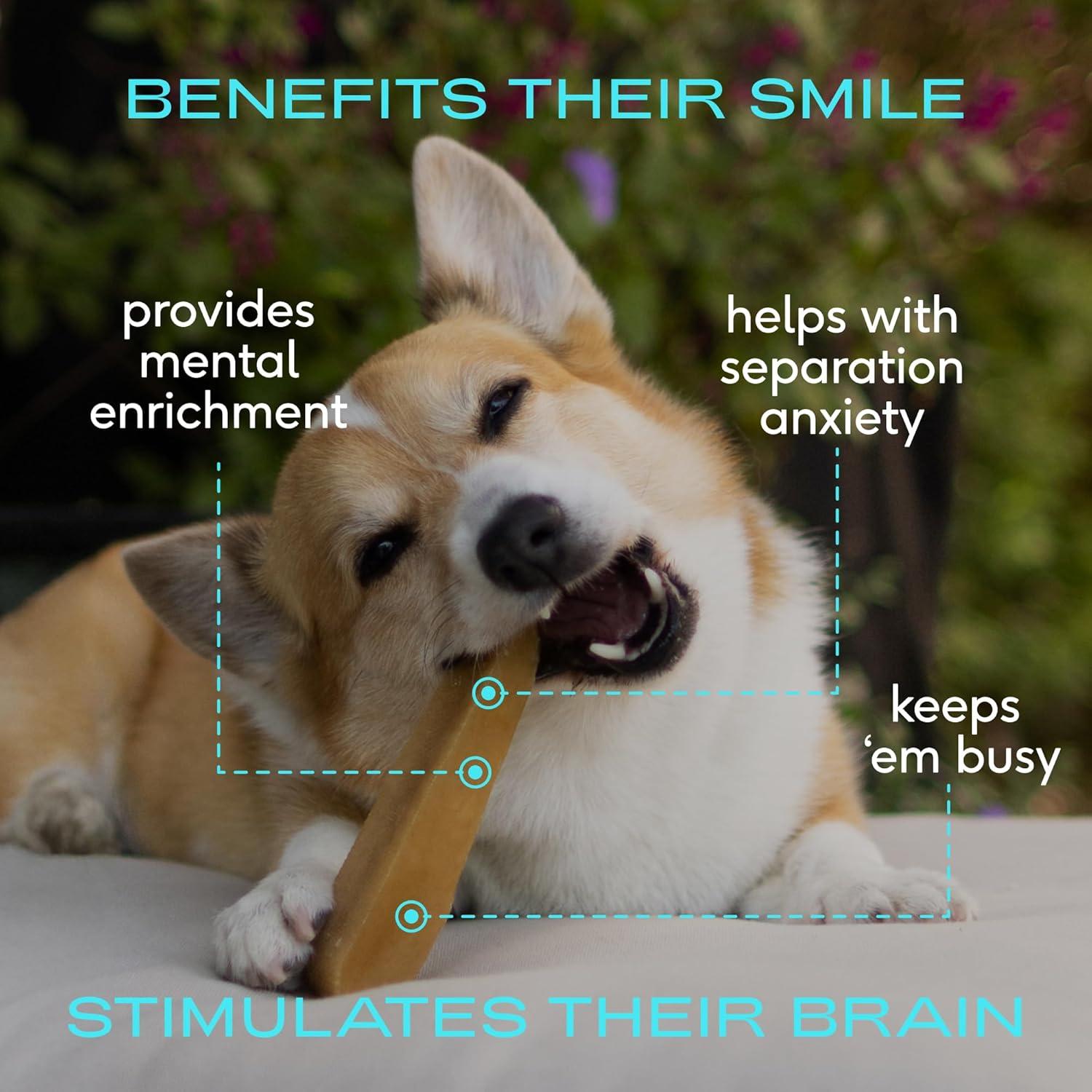 Masticables de Queso de Yak Himalayo Native Pet - 3 Unidades Medianas