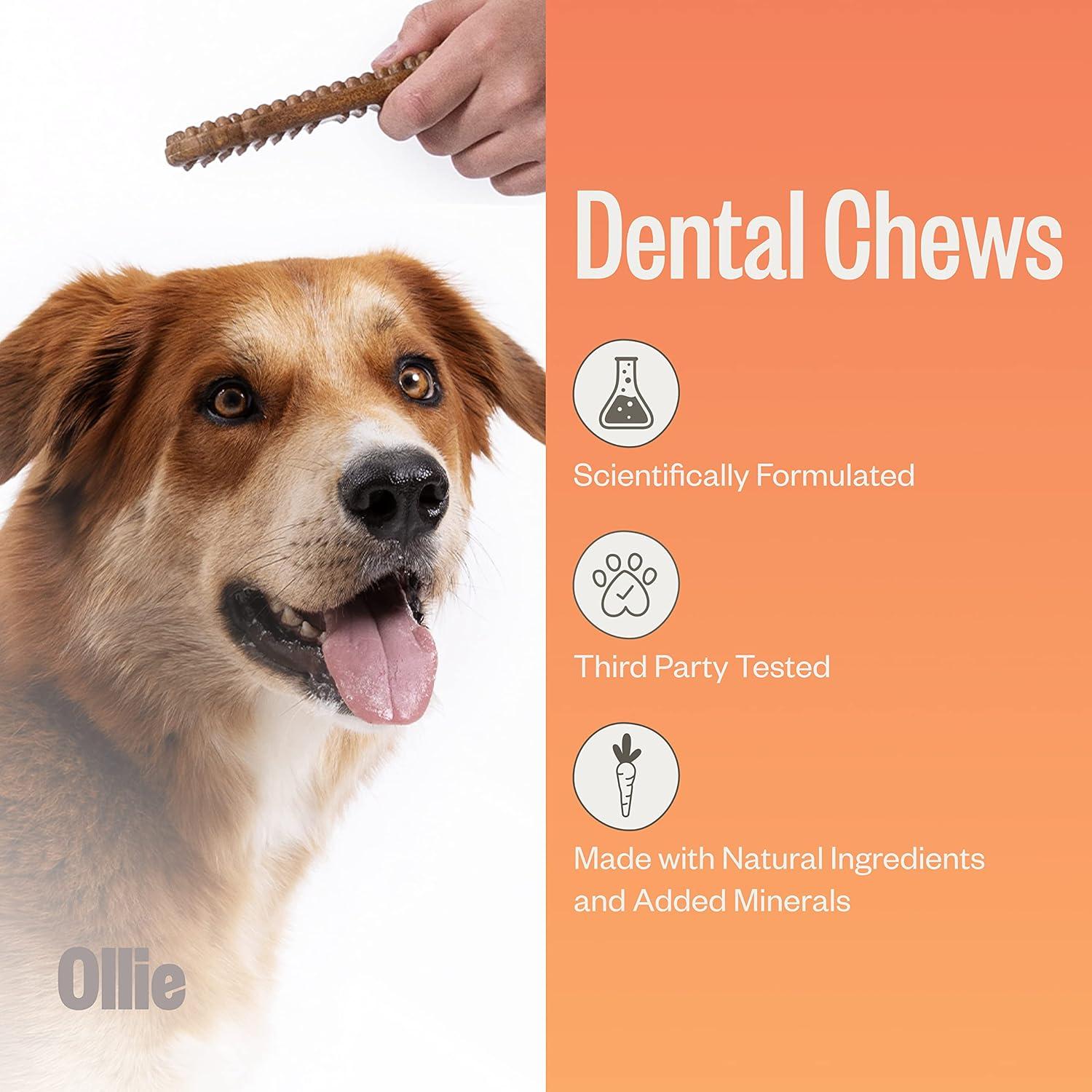 Ollie Dental Chews para Perros Pequeños 340 g - Aliento Fresco
