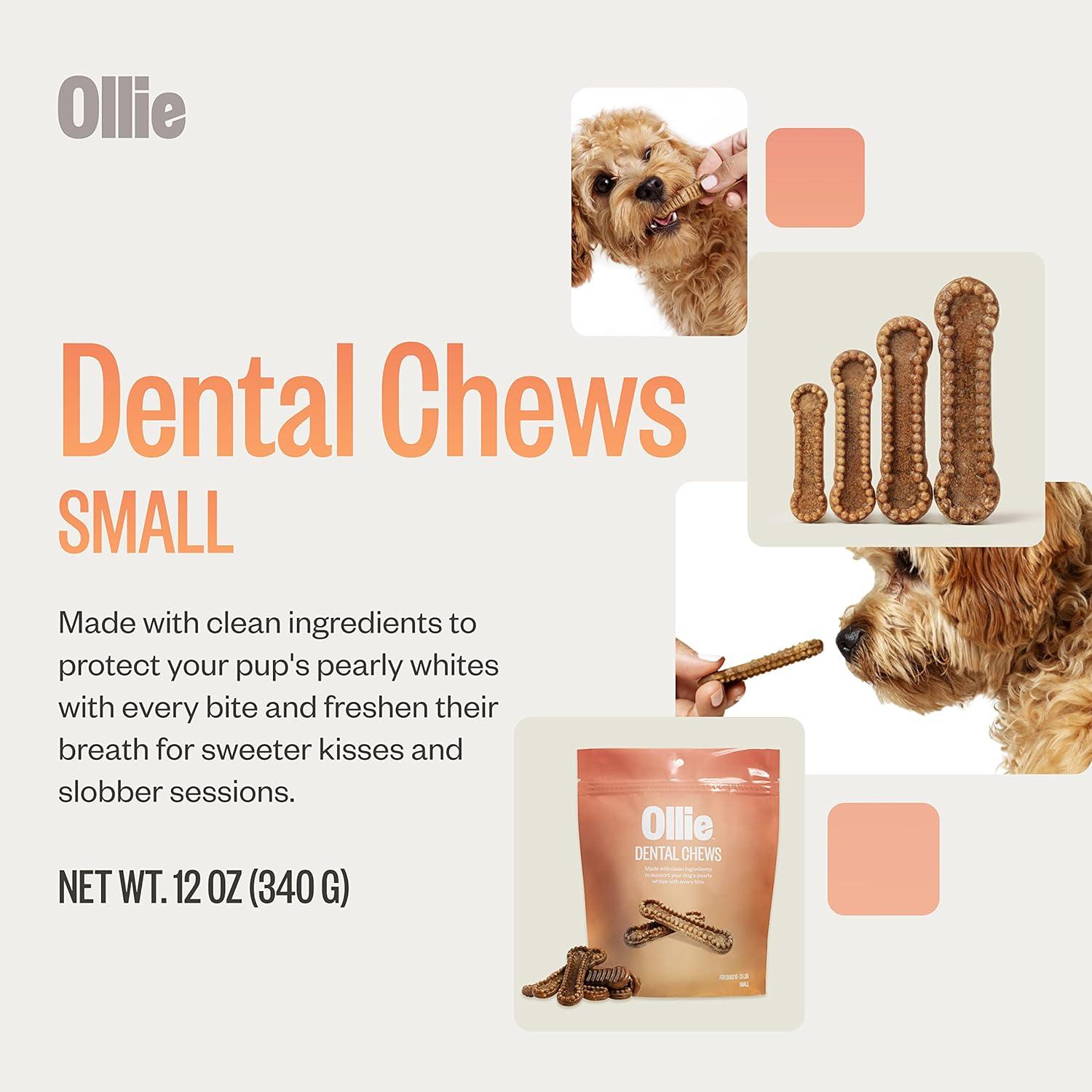 Ollie Dental Chews para Perros Pequeños 340 g - Aliento Fresco