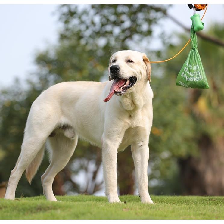 Bolsas de Excremento de Perro Deo Doo 300 Cuentas Grandes