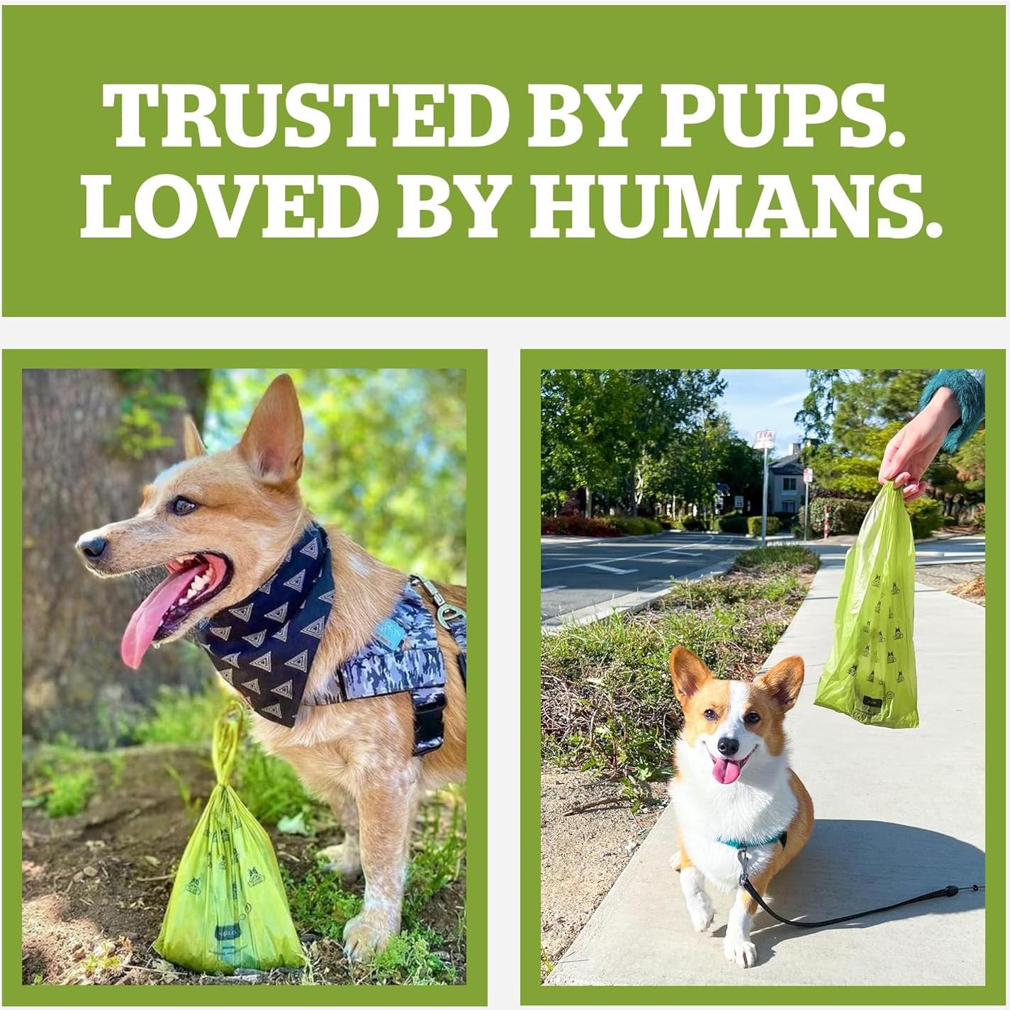 Bolsas Compostables Pogi para Desechos de Mascotas - 250 Unidades