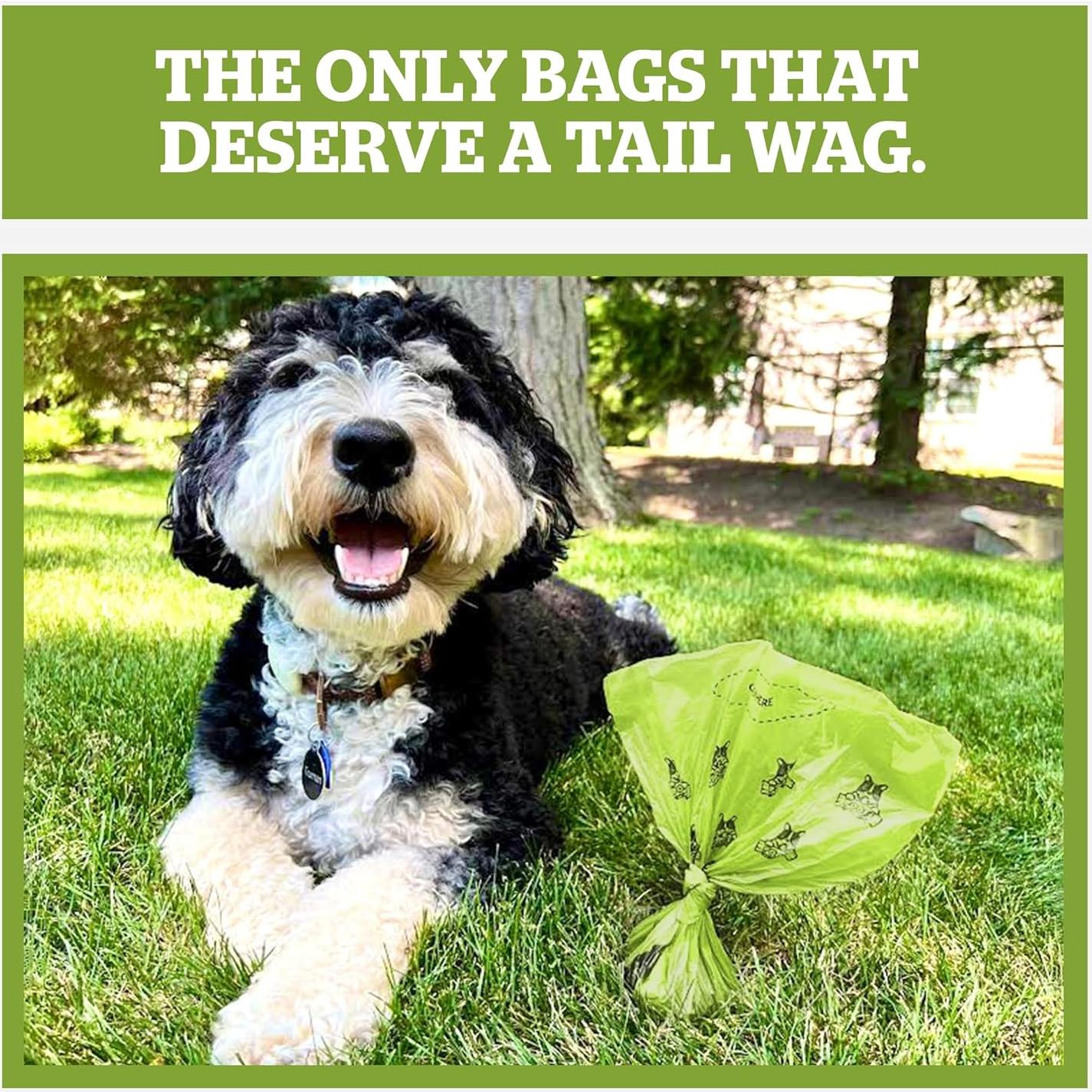 Bolsas Compostables Pogi Extra Grandes 300 Unidades 22.86x34.29cm