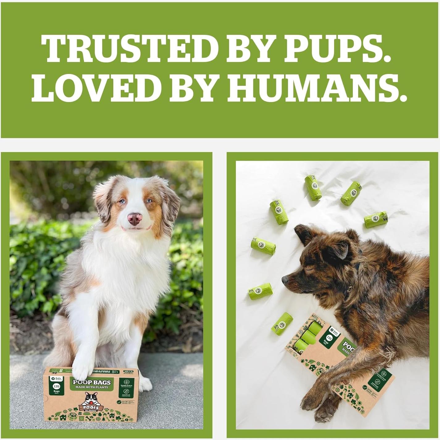 Bolsas Compostables Pogi Extra Grandes 270 Unidades 22x34cm