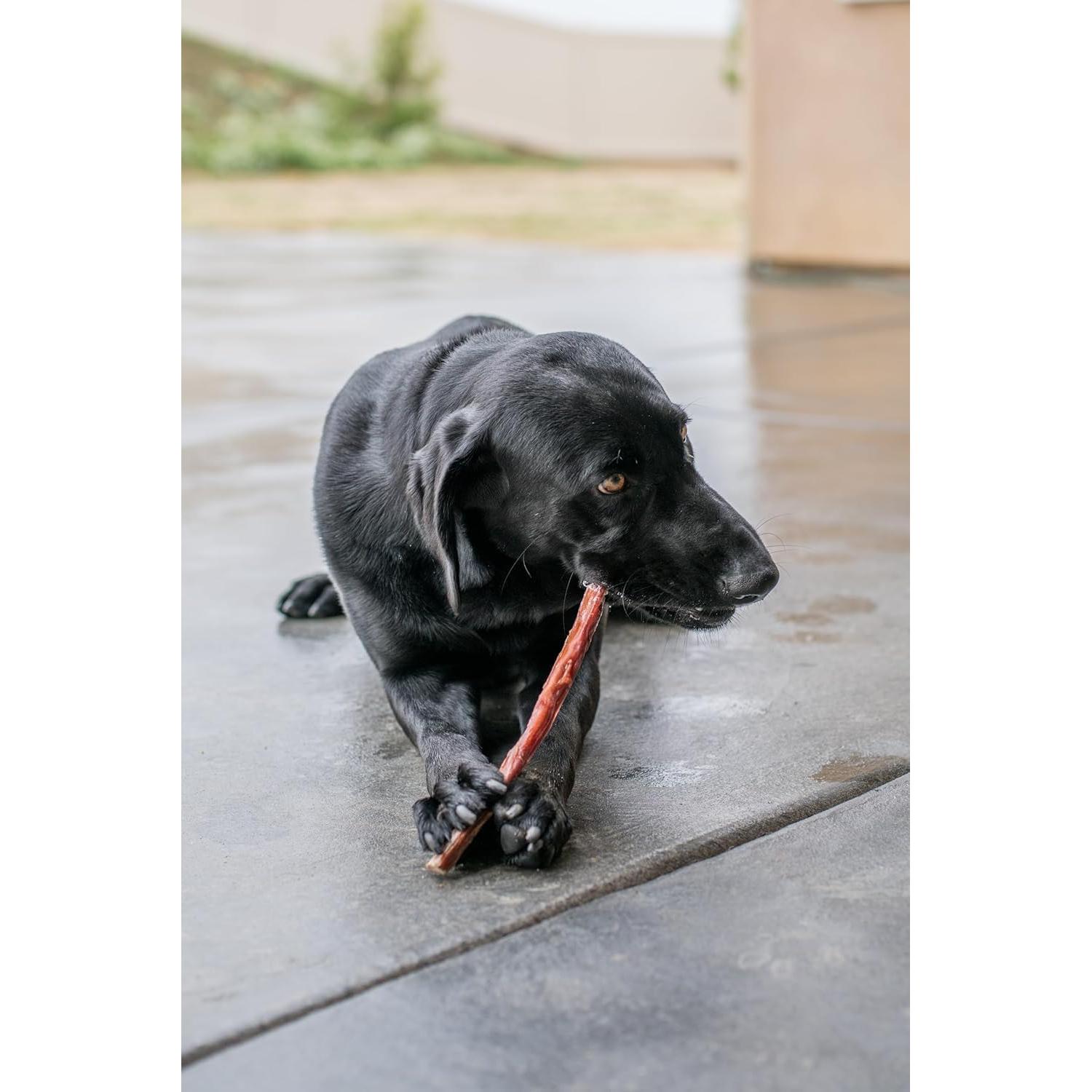 Palitos de Jerky de Esófago de Res GigaBite 50 Unidades 15.24 cm