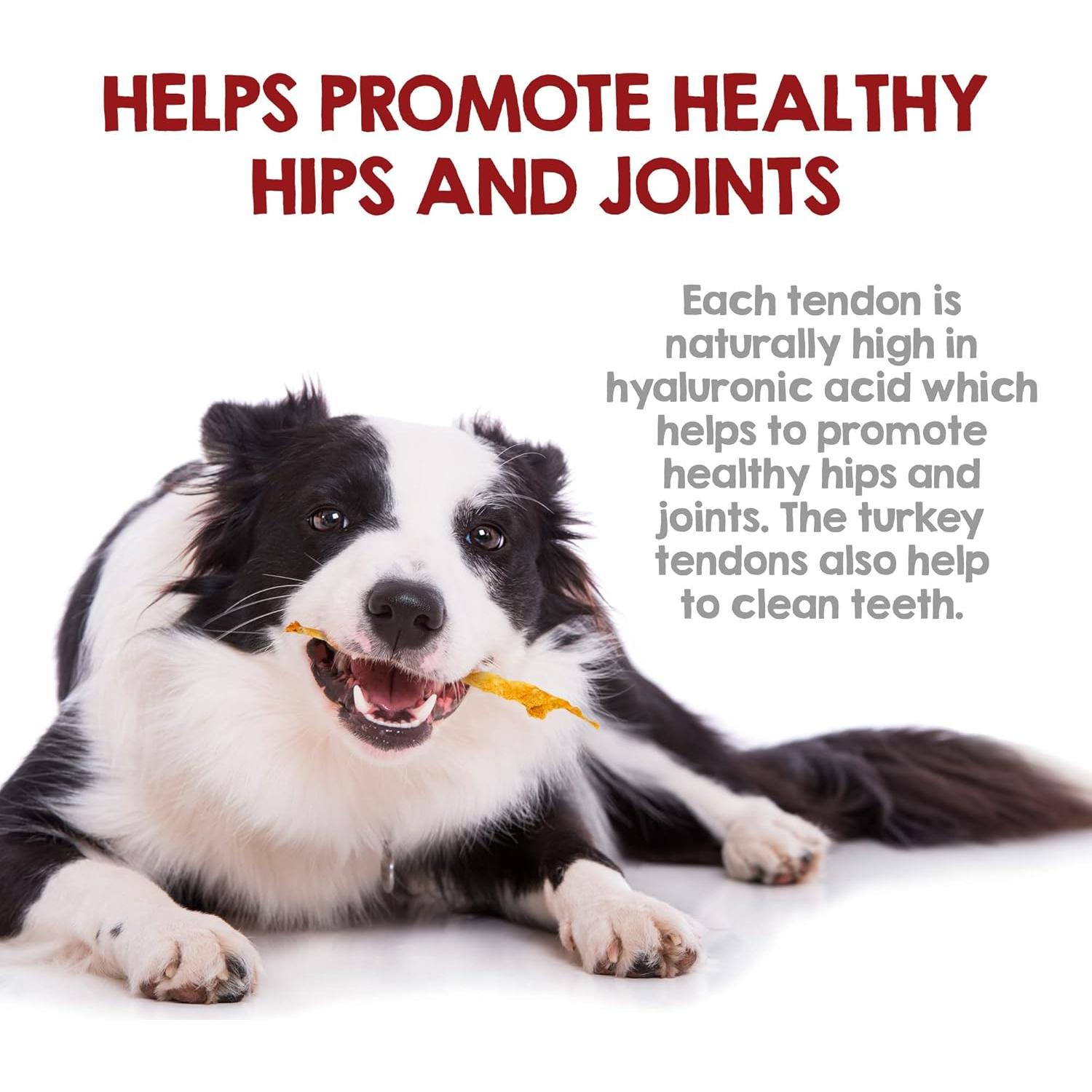 Tendones de Pavo para Perros Riley's 113.4 g 100% Natural