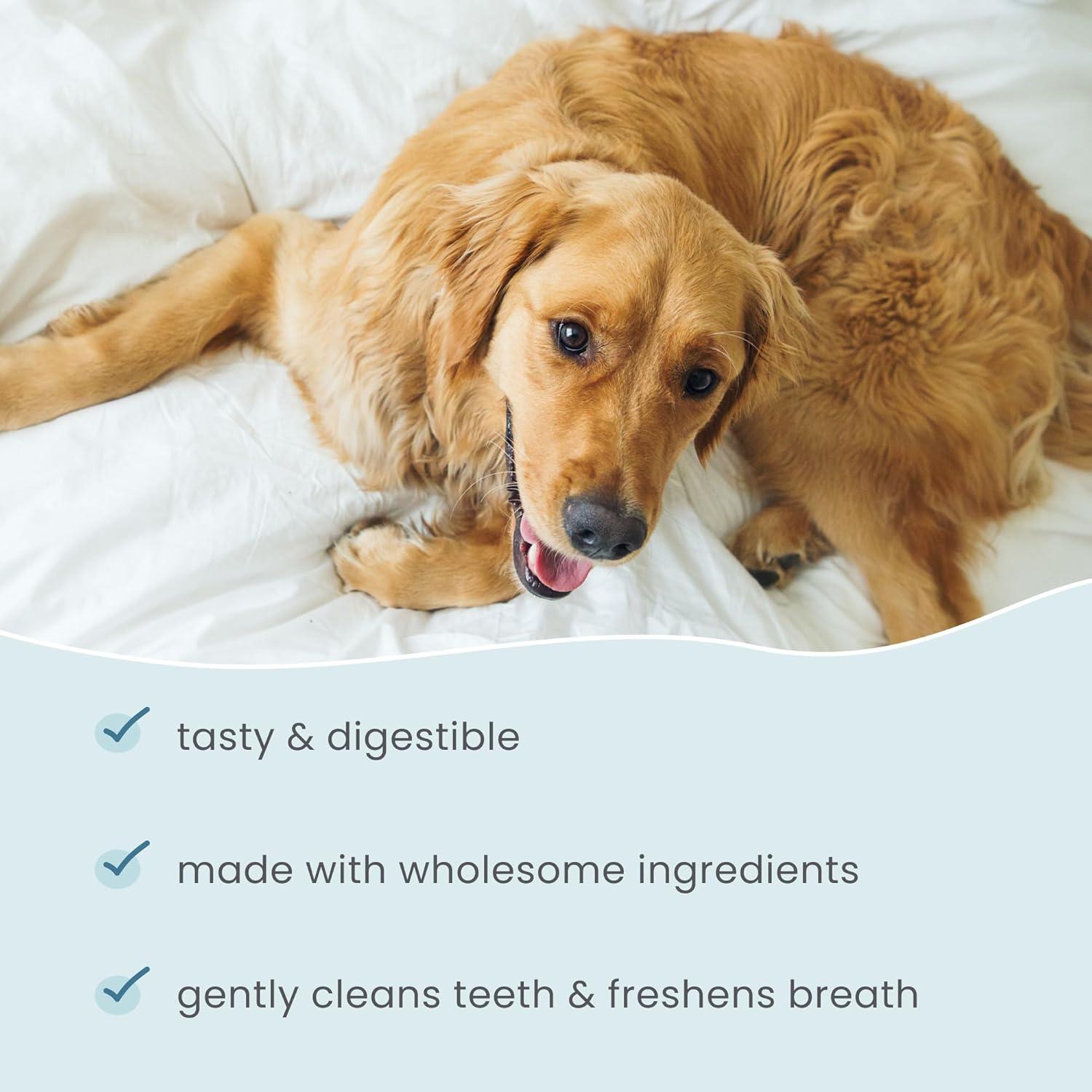 Huesos Masticables Dentales para Perros Dr. Mercola Grande 12 Pzas