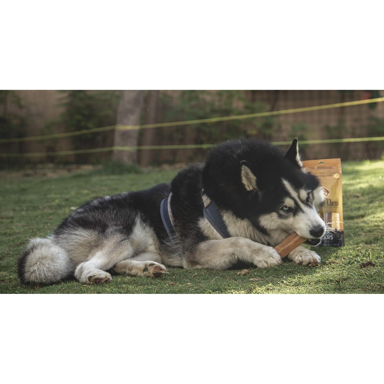 Masticables Dentales para Perros Dogsee Chew Grande 130g