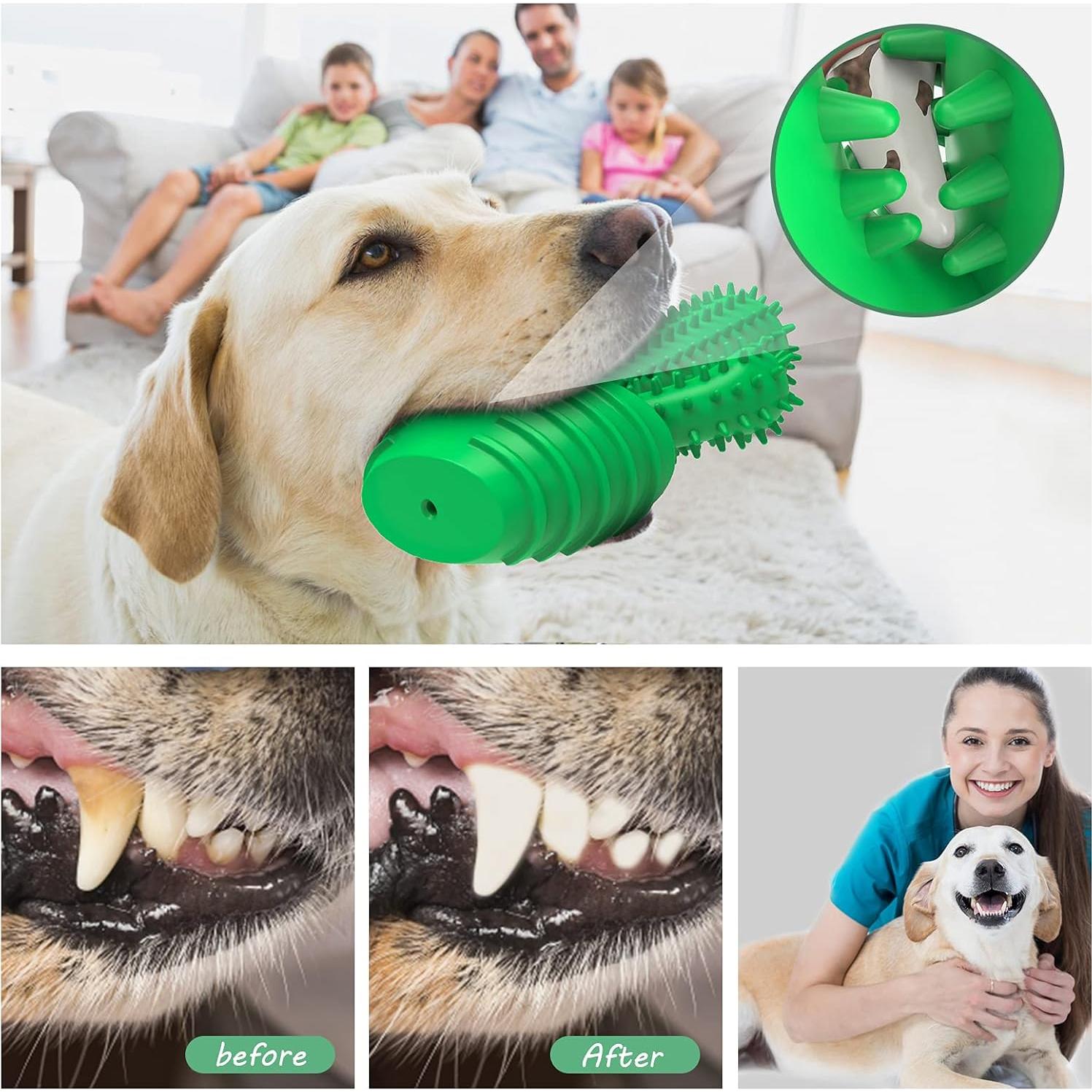 Juguete Cepillo de Dientes para Perros Pamlulu Mediano Verde