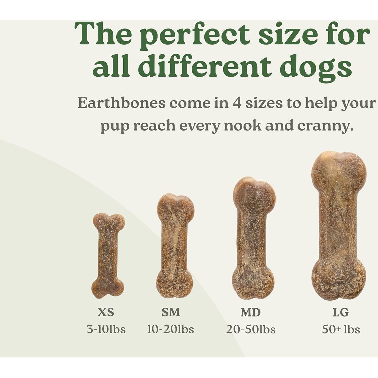 Masticables Dentales Earthbones para Perros 30 Huesos 9-23kg