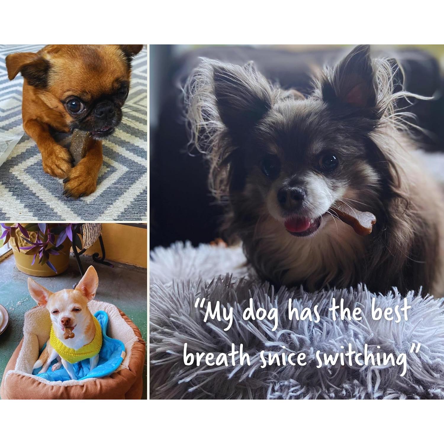 Masticables Dentales Earthbones para Perros 30 Huesos 9-23kg