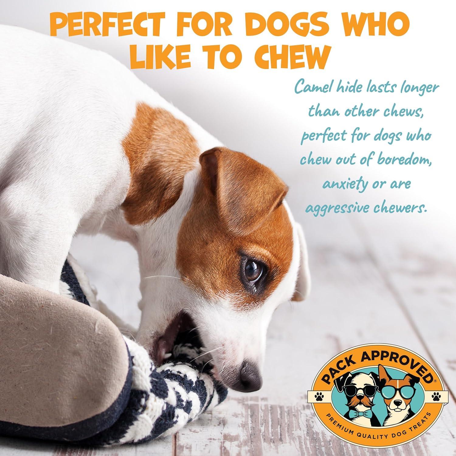 Masticables de Piel de Camello Pack Approved 90.72g - Hipoalergénicos