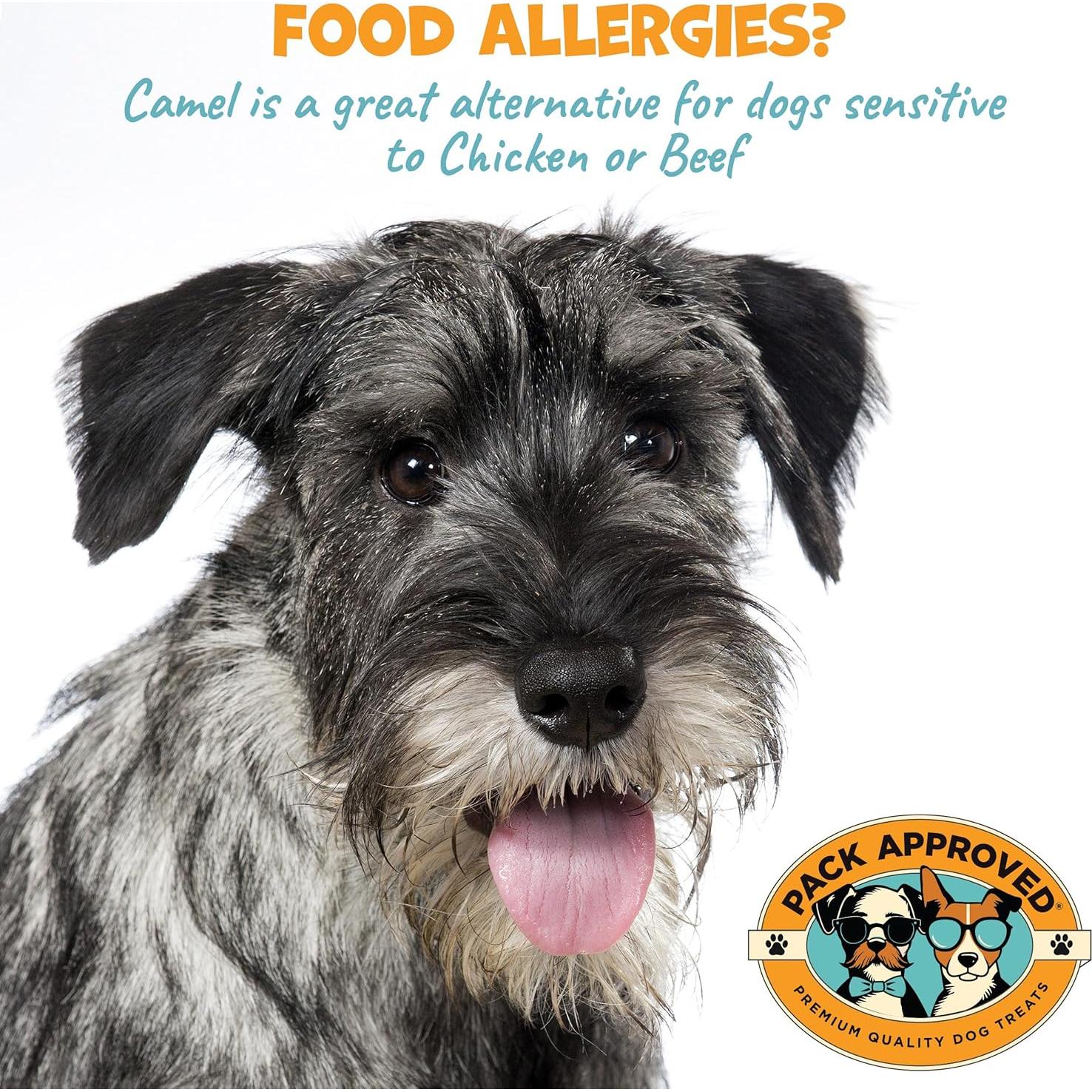 Masticables de Piel de Camello Pack Approved 90.72g - Hipoalergénicos