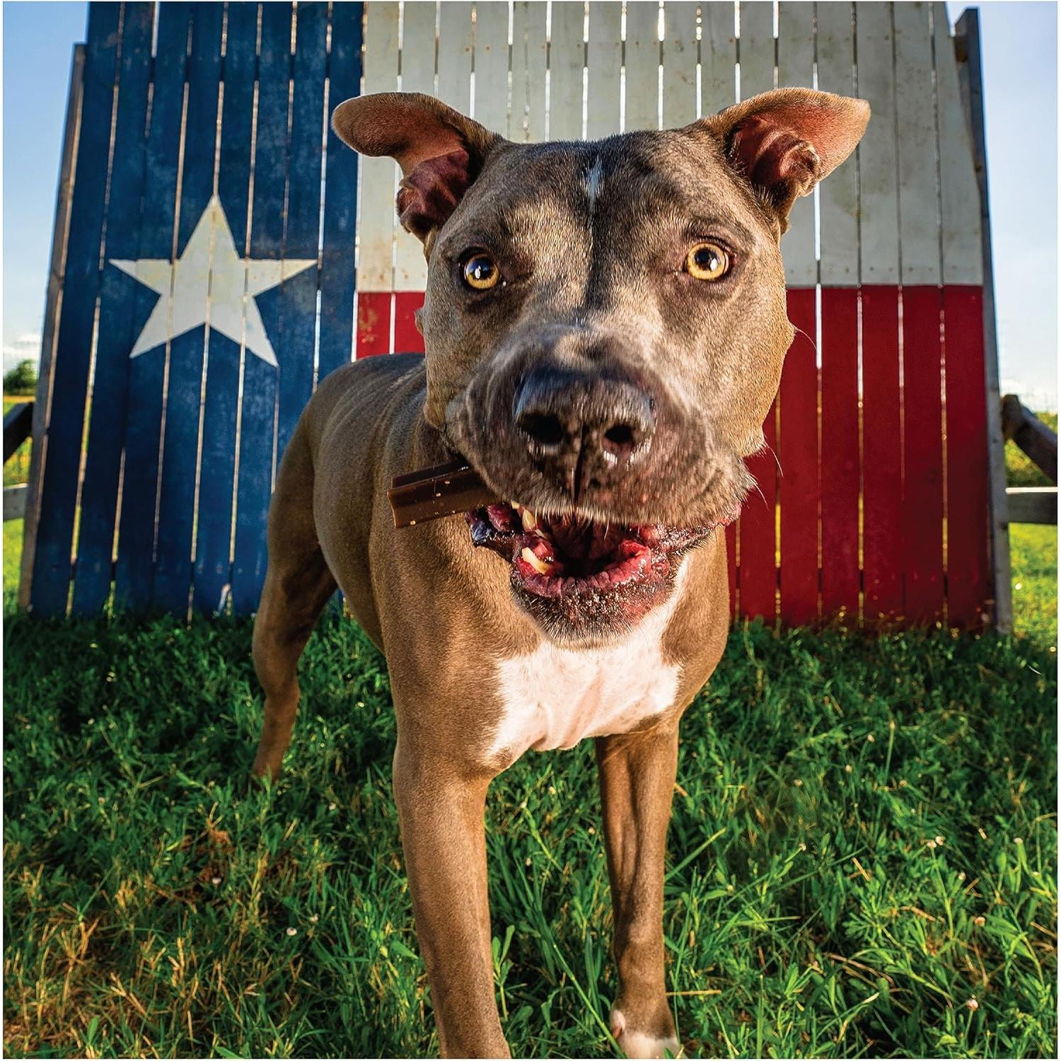 Get Naked Calming Dental Sticks para Perros 187 g Sabor Pollo