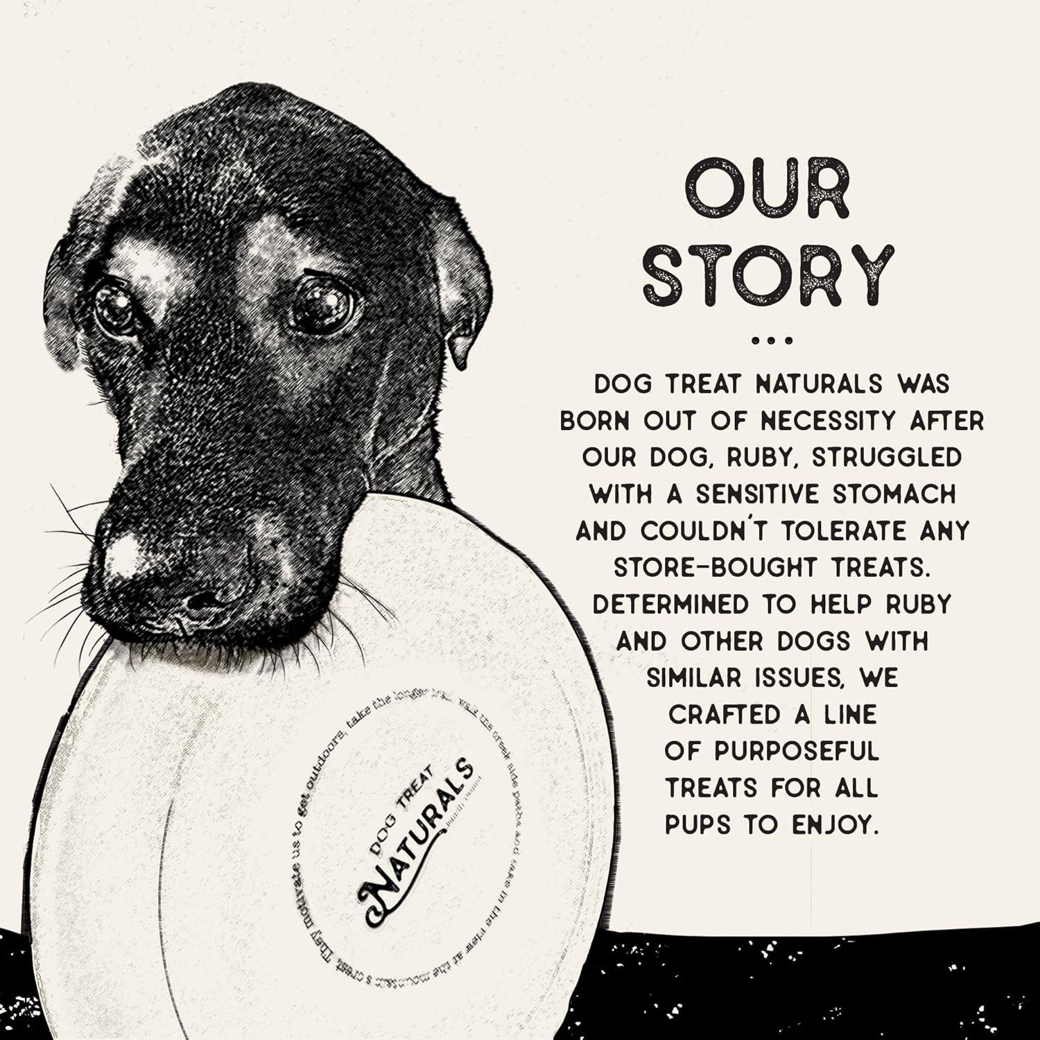 Palitos Masticables Dentales Dog Treat Naturals 20 Unidades