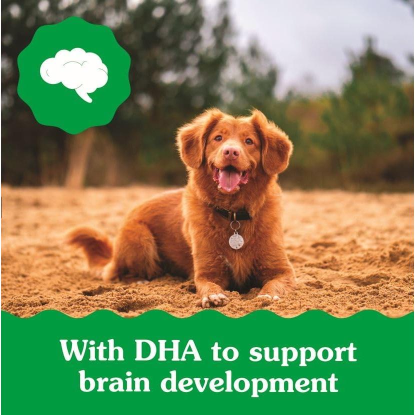 Golosinas Dentales para Cachorros Greenies Original 340 g