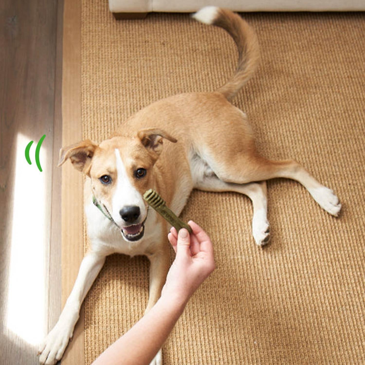 Golosinas Dentales para Cachorros Greenies Original 340 g