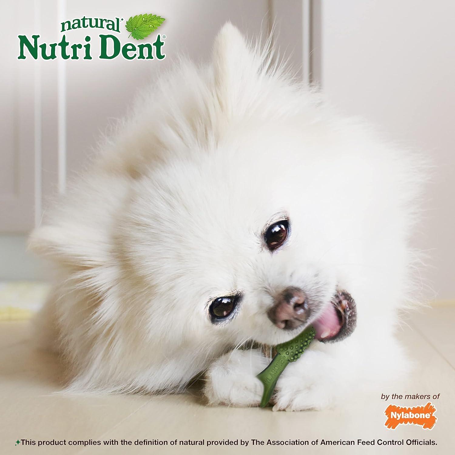 Masticables Dentales Nutri Dent para Perros Sabor Menta Fresca - 5.6 oz