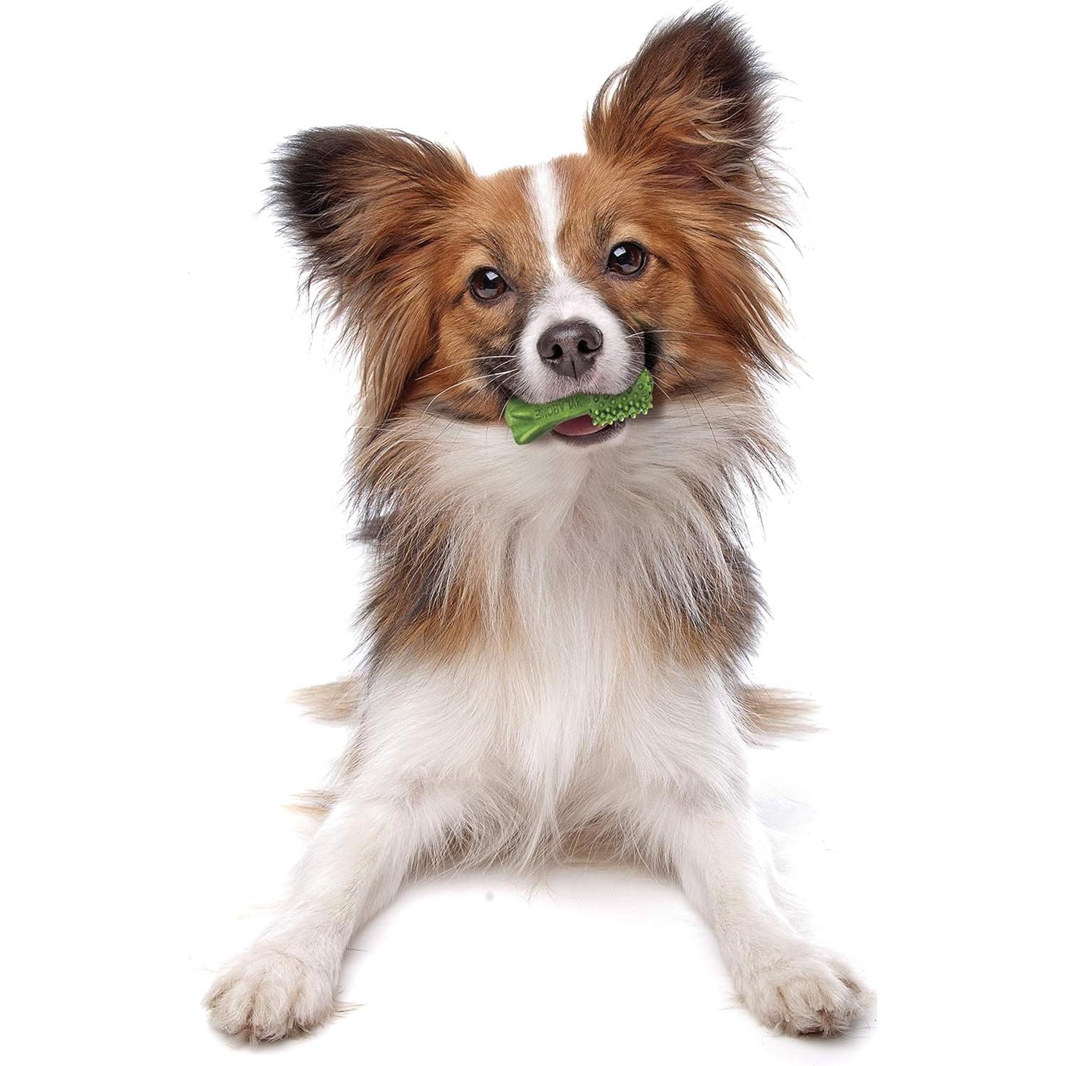 Masticables Dentales Nutri Dent para Perros Sabor Menta Fresca - 5.6 oz