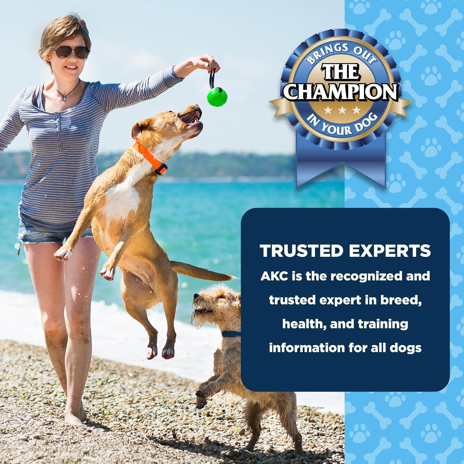 Galletas Dentales para Perros Grandes AKC Sabor Ahumado 15 Unidades