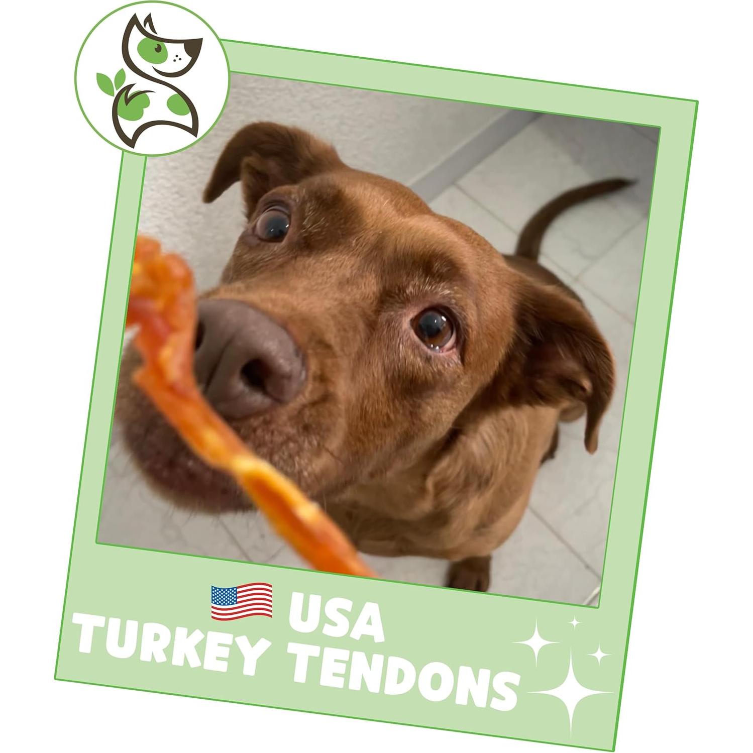 Tendones de Pavo USA Nature Gnaws 113.4g - Snack Natural para Perros