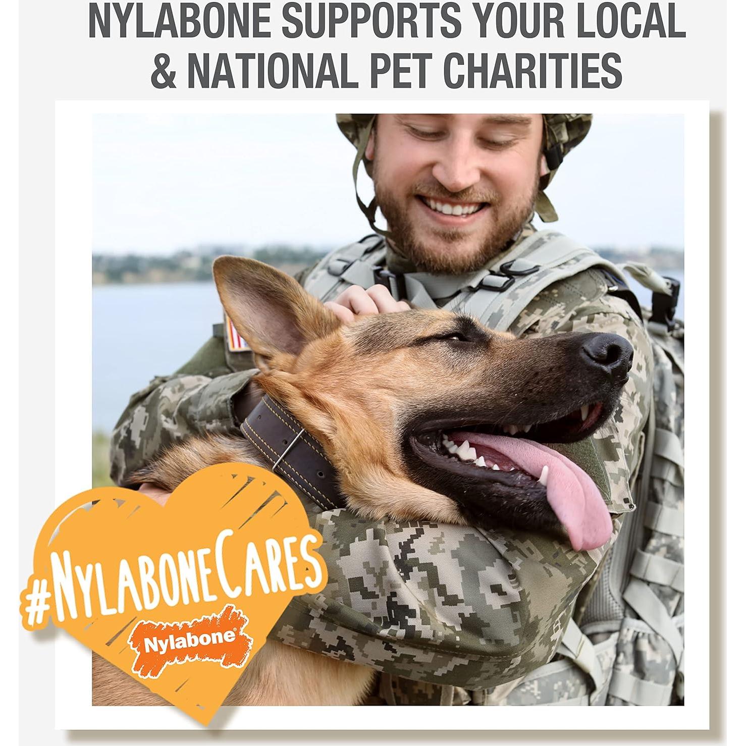 Masticables Dentales para Perros Nylabone Nutri Dent Filet Mignon 40 Unidades