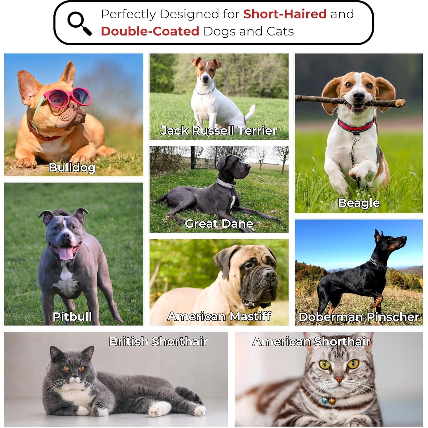 Kit de Aseo de Madera ENUKYCOM para Perros y Gatos Pelo Corto