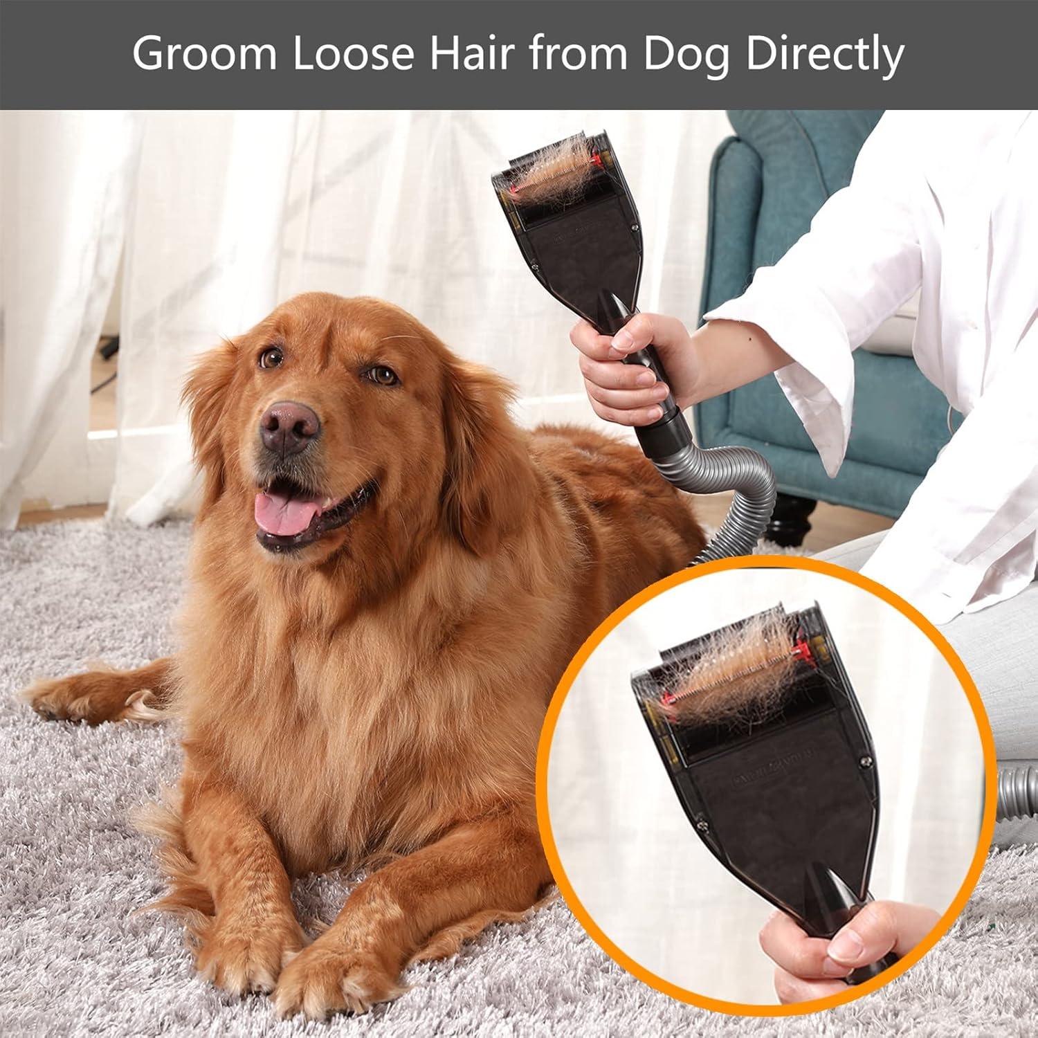 Cepillo de Aseo para Mascotas Defurry con Adaptador Dyson