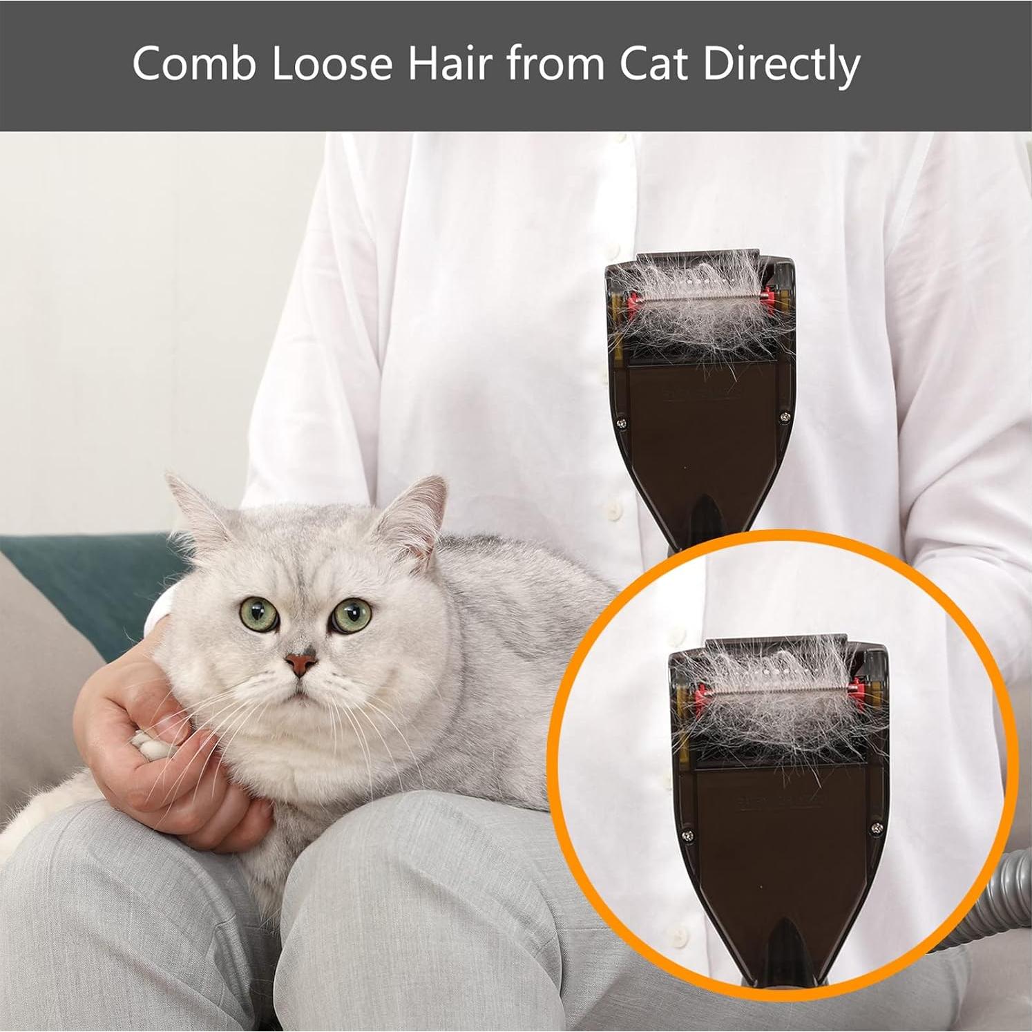 Cepillo de Aseo para Mascotas Defurry con Adaptador Dyson