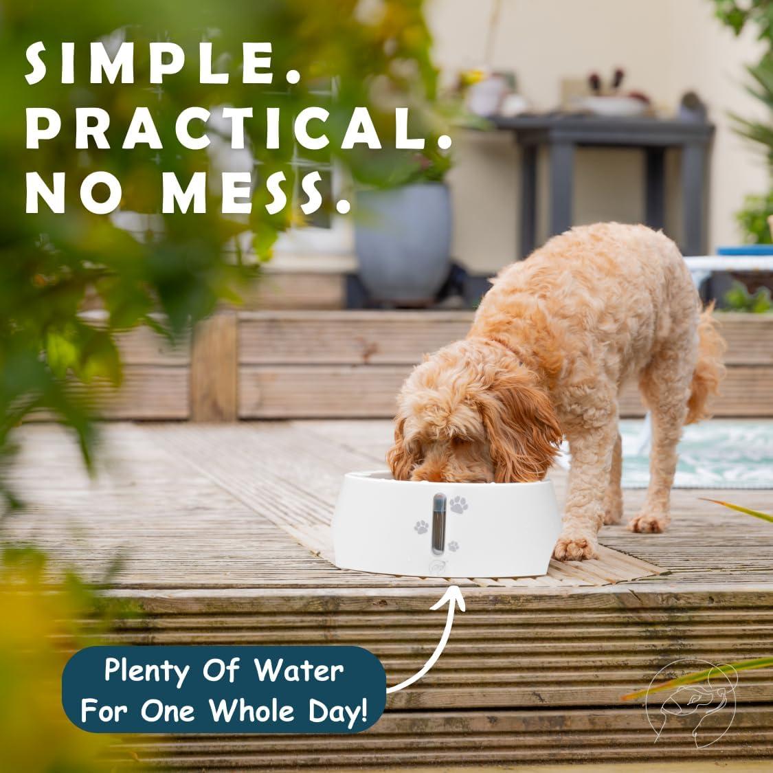 Tazón de Agua Antideslizante Barking&Mad 2.1L Verde