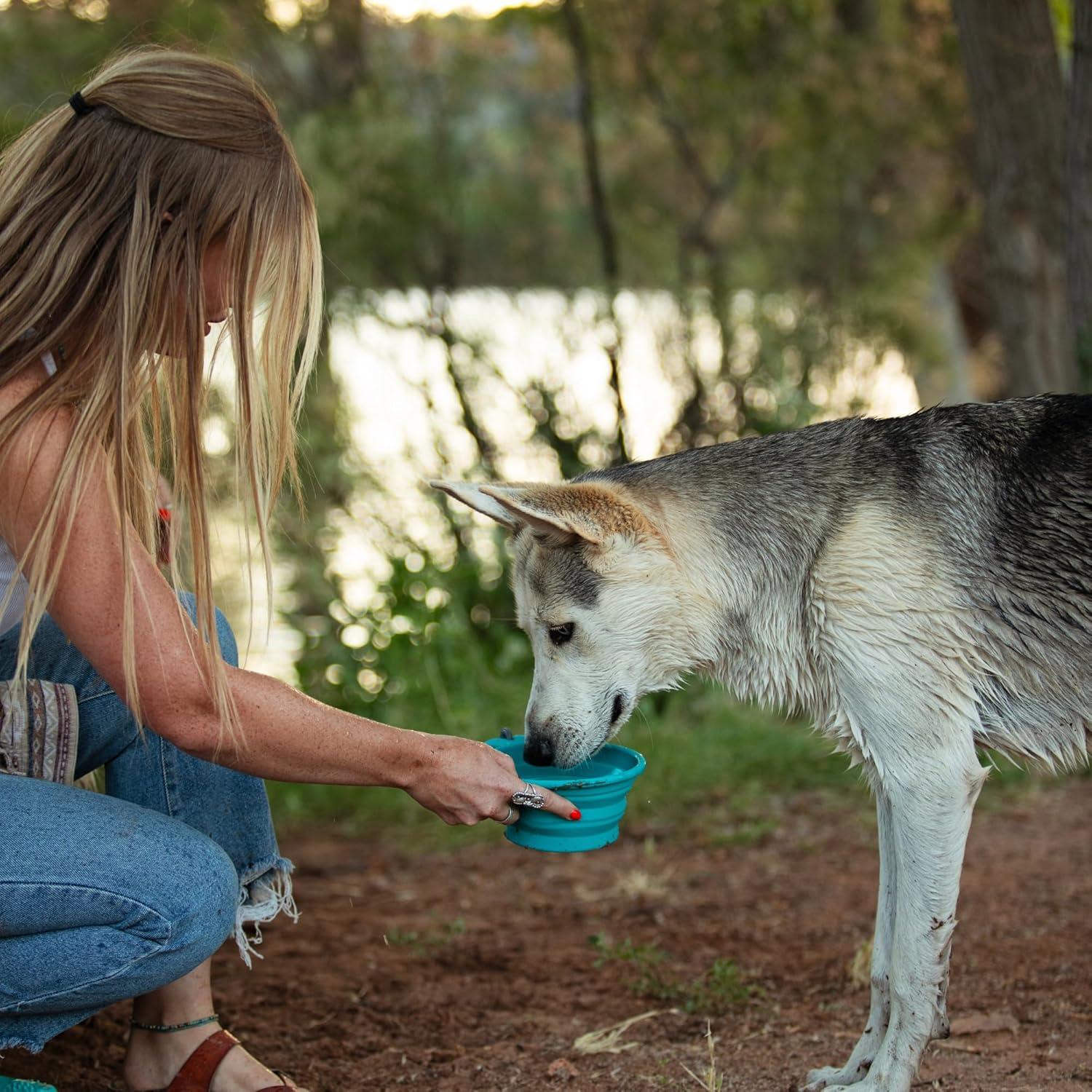 Tazón Colapsable de Silicona Messy Mutts 3 Tazas Azul