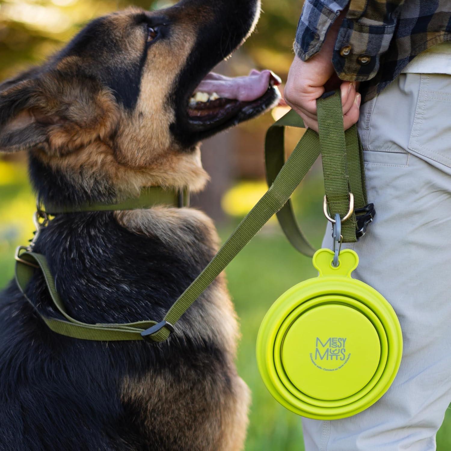 Tazón Colapsable de Silicona Messy Mutts 3 Tazas Azul