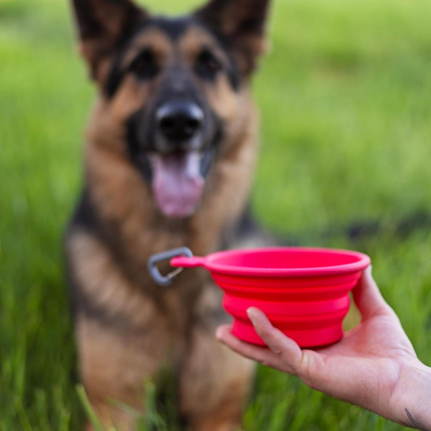 Tazón Colapsable de Silicona Messy Mutts 3 Tazas Azul