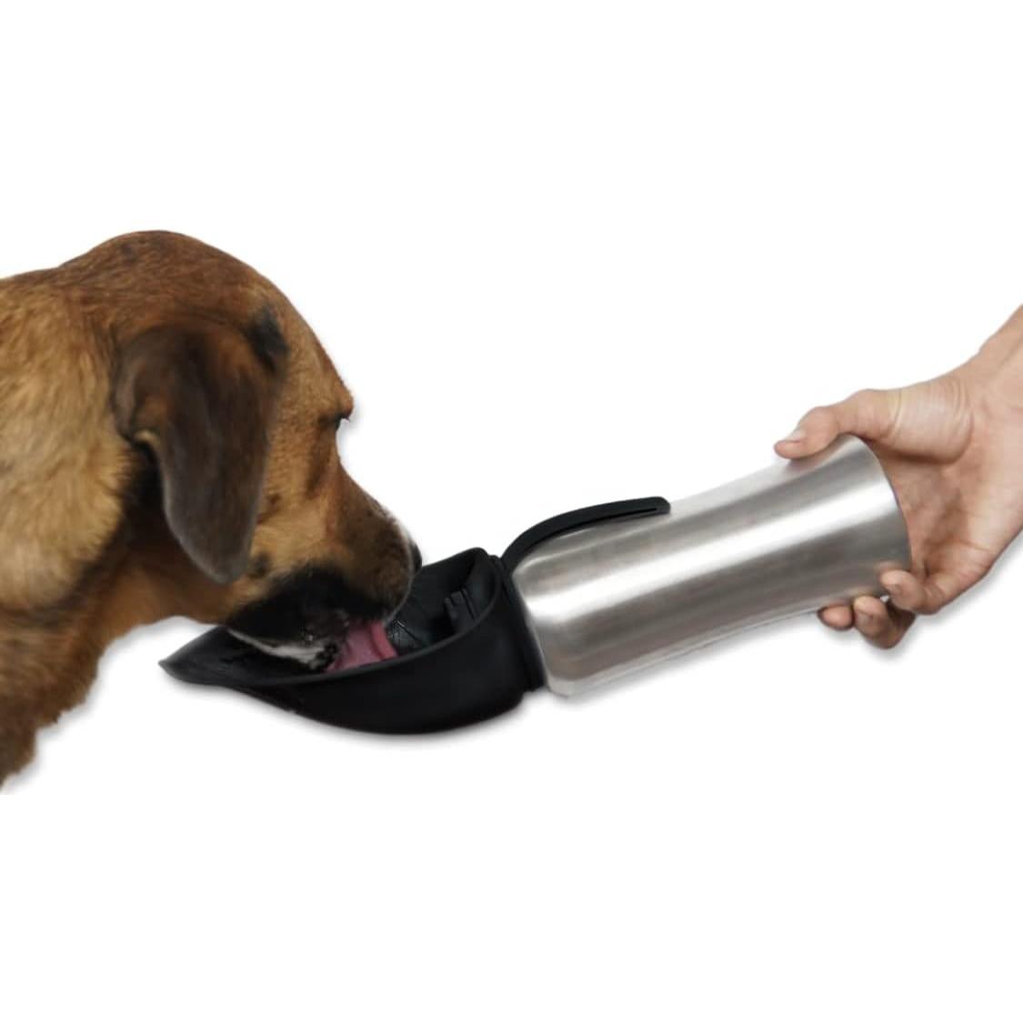 Dispensador de Agua Portátil para Perros Pacific Paws 800ml Negro