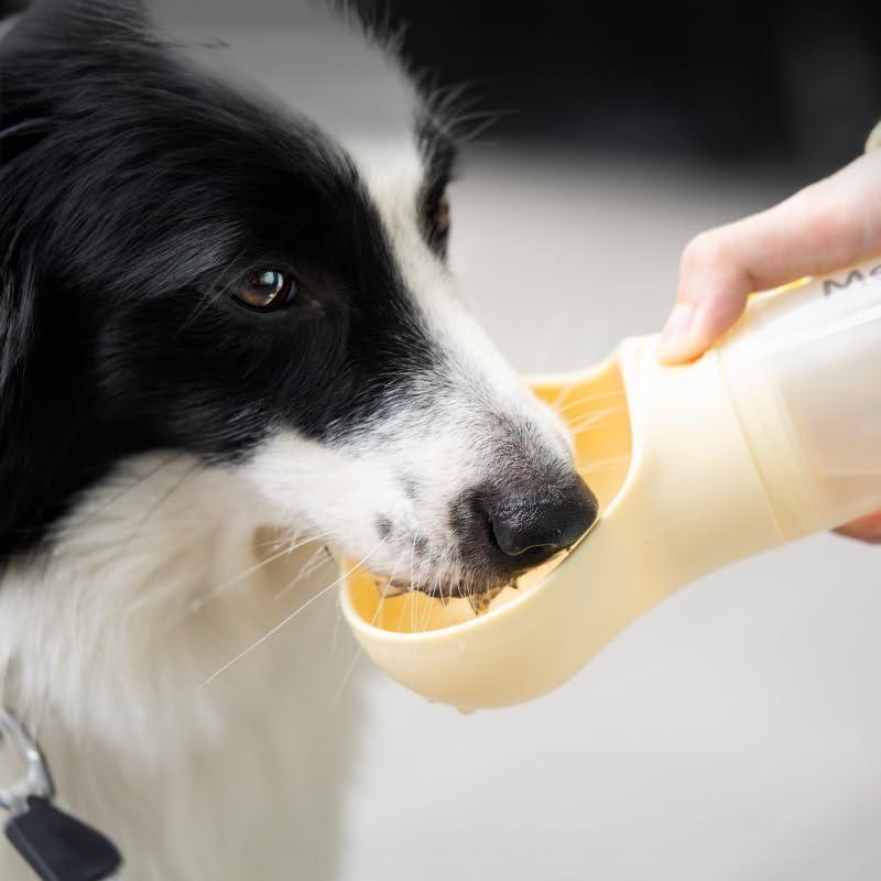 Botella de Agua Portátil para Mascotas Rayvelous 396g