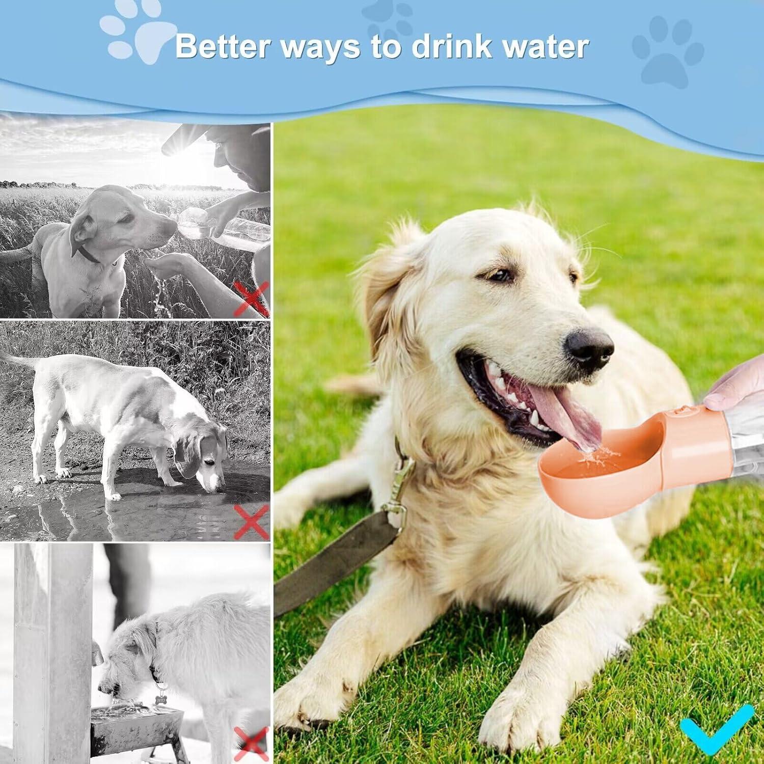 Botella de Agua para Perros ARMLULU 500ml Naranja a Prueba de Fugas