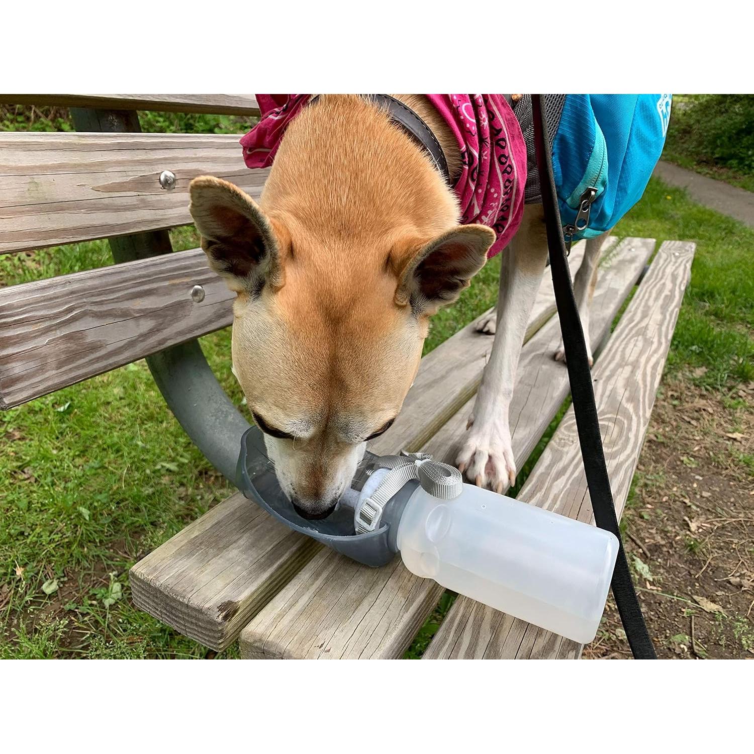 Botella de Agua Plegable Lixit 590 ml para Perros - Granito