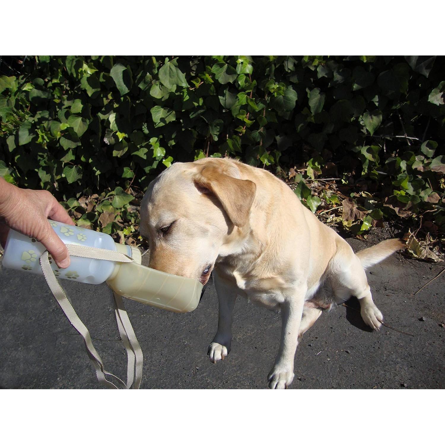 Botella de Agua Plegable Lixit 590 ml para Perros - Granito