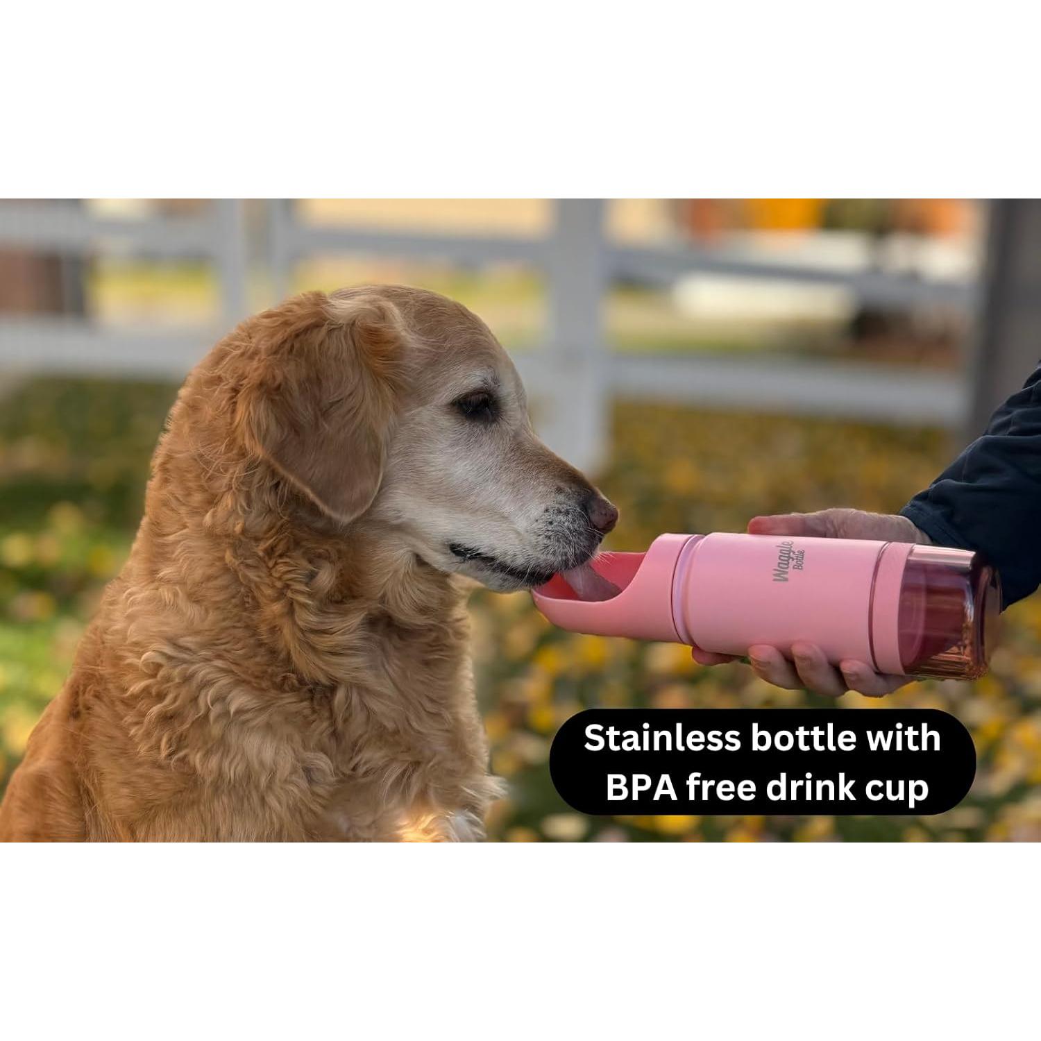 Botella de Agua para Perros Waggle 650ml Rosa Aislada