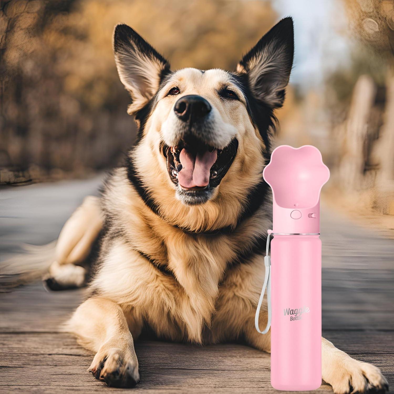 Botella de Agua para Perros Waggle 650ml Rosa Aislada