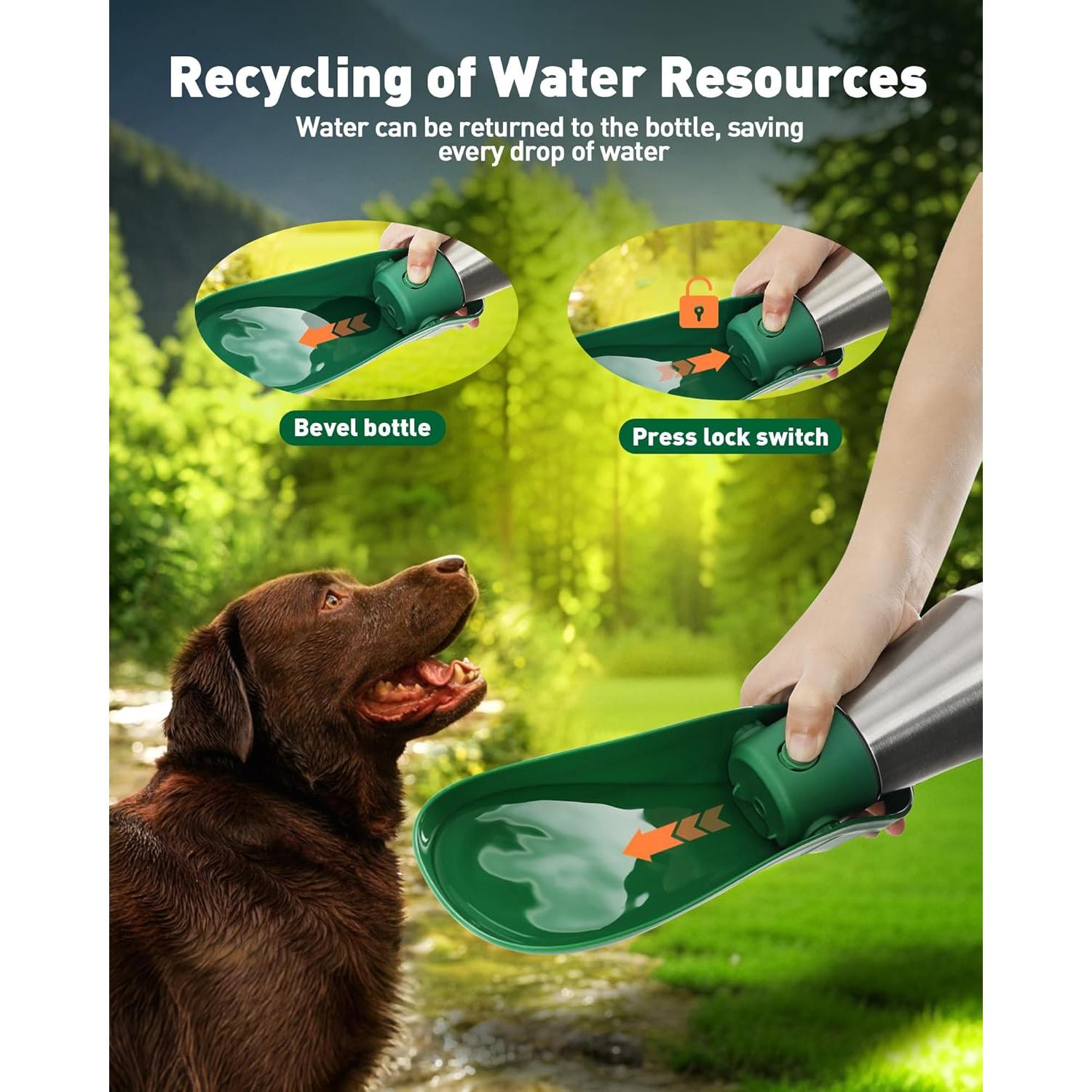 Botella de Agua para Perros PETNF 800 ml Acero Inoxidable Verde