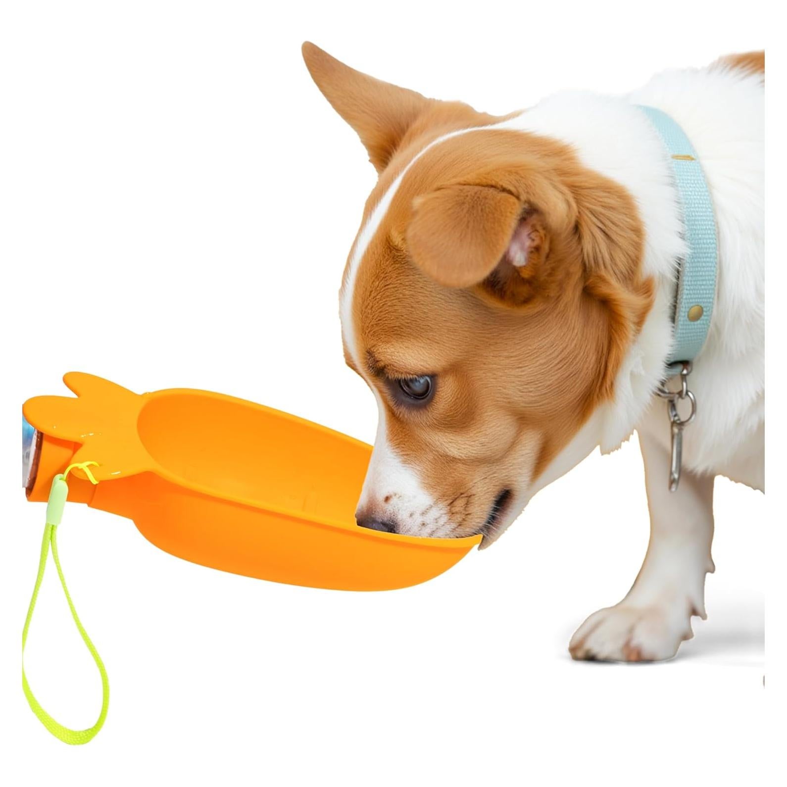 Dispensador de Agua Portátil para Perros Li & Zhao - Silicona Plegable