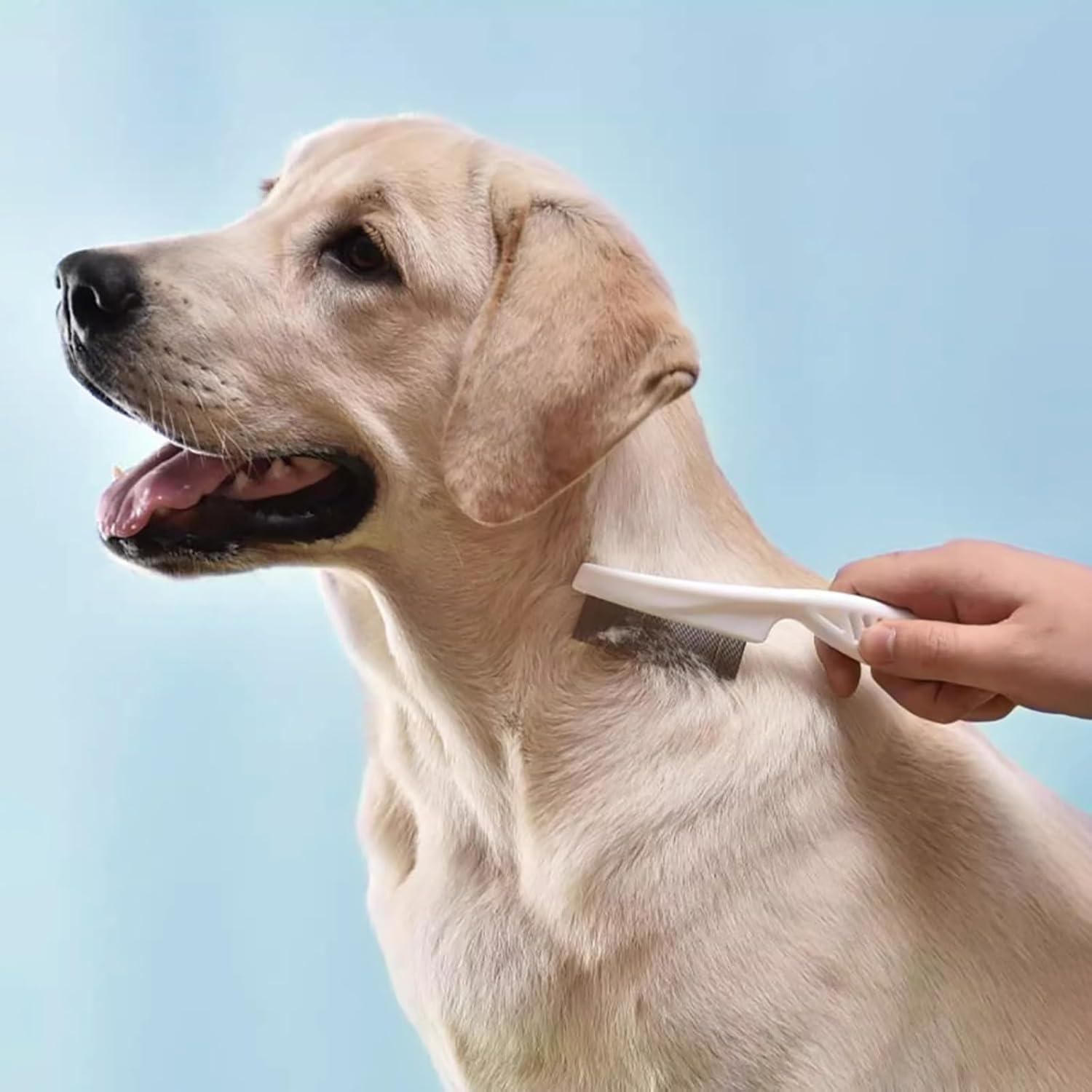 Cepillo 4 en 1 para Gatos y Perros ARTECARE Autolimpiante