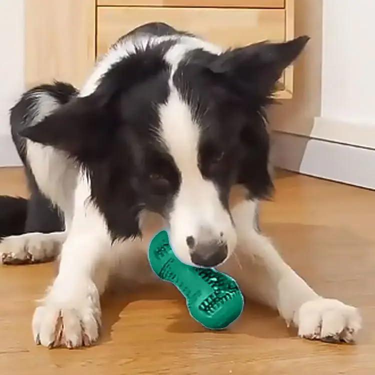 Juguete Rellenable para Perros Moritas - Limpieza Dental Verde Aqua