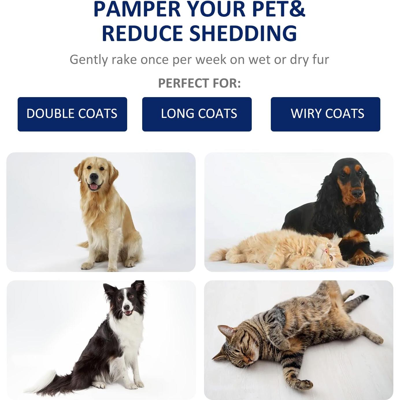 Rastrillo de Aseo WePet para Perros y Gatos Grande Azul