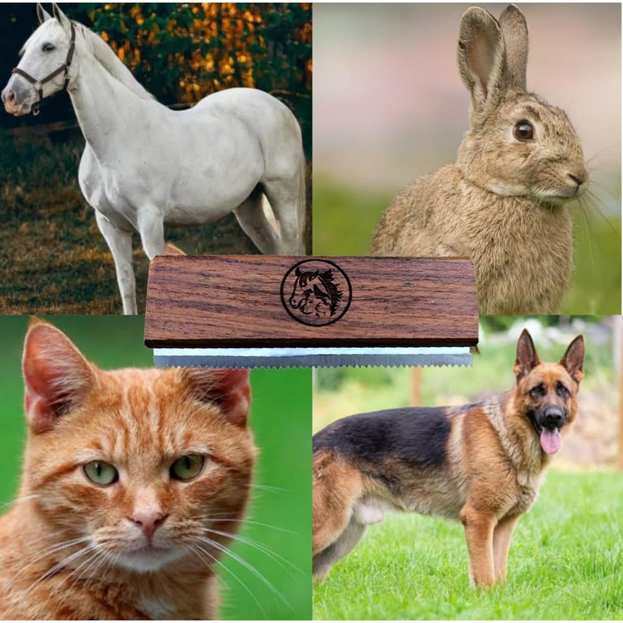 Cepillo Deshedding I.N Premium para Perros, Gatos y Caballos 12.7 cm